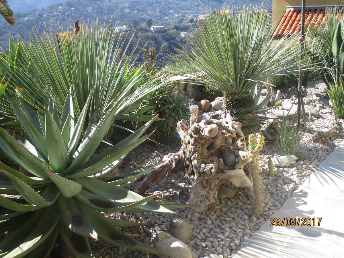 Les Mimosas Bed & Breakfast Menton Luaran gambar